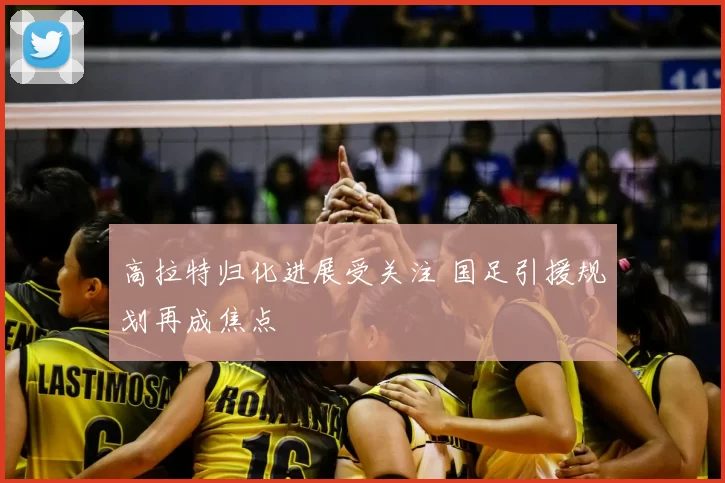 高拉特归化进展受关注 国足引援规划再成焦点