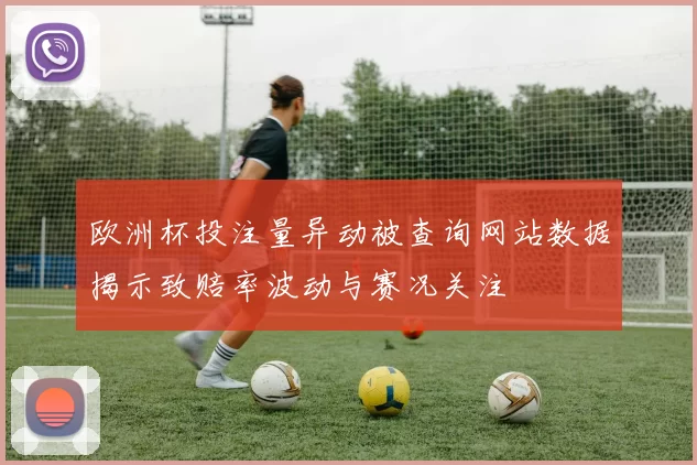 欧洲杯投注量异动被查询网站数据揭示致赔率波动与赛况关注