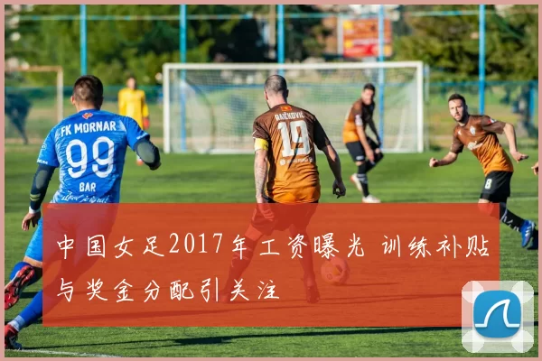 中国女足2017年工资曝光 训练补贴与奖金分配引关注