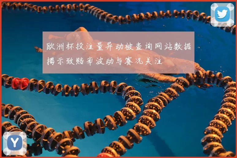 欧洲杯投注量异动被查询网站数据揭示致赔率波动与赛况关注