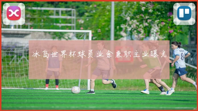 冰岛世界杯球员业余兼职主业曝光