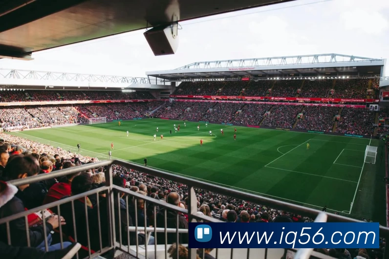 三亿体育真正官网 - 三亿体育(中国)官方网站平台生态图