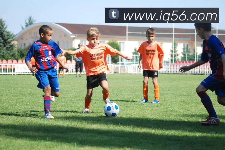 数据防护可视化